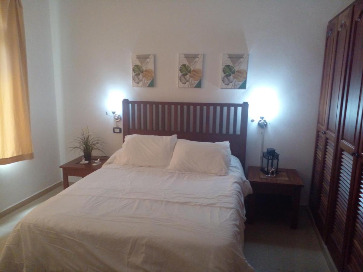 Apartamentos Y Habitaciones Sol Dominicus Solo Adultos La Laguna エクステリア 写真