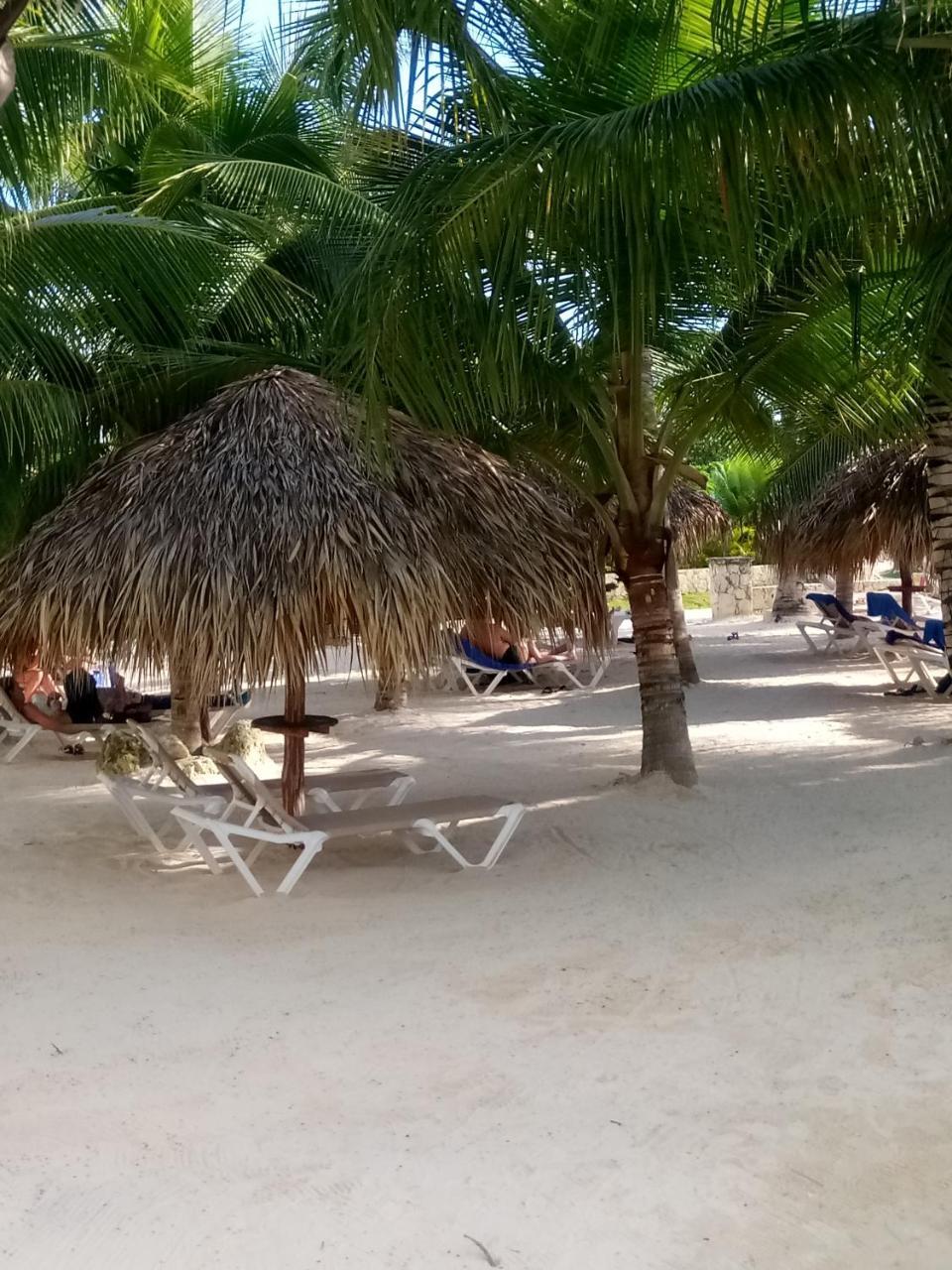 Apartamentos Y Habitaciones Sol Dominicus Solo Adultos La Laguna エクステリア 写真